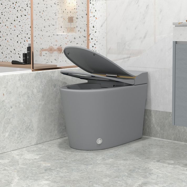 Modern Floor Mounted Urine Toilet Siphon Jet Toilet Bowl with Toilet Seat Clearhalo 'Bathroom Remodel & Bathroom Fixtures' 'Home Improvement' 'home_improvement' 'home_improvement_toilets' 'Toilets & Bidets' 'Toilets' 1200x1200_ed47fc56-98e6-4729-bbf2-b56ee887c374