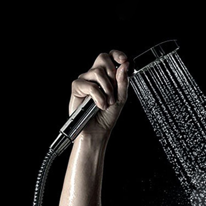 Silver Handheld Shower Head 3 Sprays Stainless Steel Wall-Mount Showerhead Clearhalo 'Bathroom Remodel & Bathroom Fixtures' 'Home Improvement' 'home_improvement' 'home_improvement_shower_heads' 'Shower Heads' 'shower_heads' 'Showers & Bathtubs Plumbing' 'Showers & Bathtubs' 1200x1200_ed7b1074-1174-4d89-8f44-5ad09c746ad6