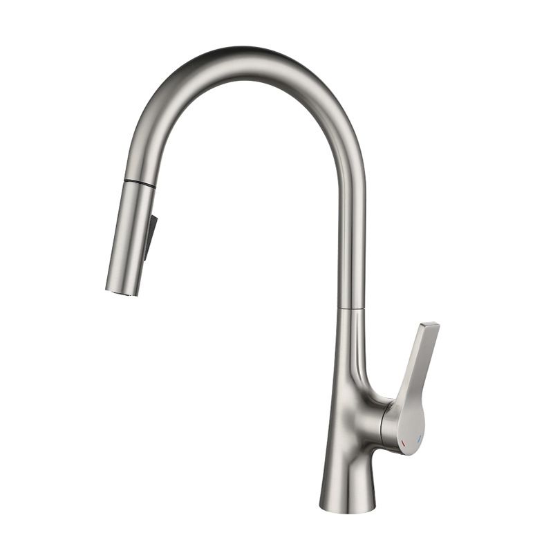 Contemporary Single Handle Kitchen Faucet Water Filler with Pull out Sprayer Clearhalo 'Home Improvement' 'home_improvement' 'home_improvement_kitchen_faucets' 'Kitchen Faucets' 'Kitchen Remodel & Kitchen Fixtures' 'Kitchen Sinks & Faucet Components' 'kitchen_faucets' 1200x1200_eda2eefd-53f7-41ee-a0a8-a1fc58af526b
