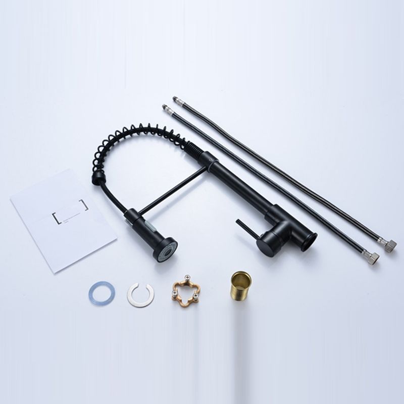 Modern Spring Spout Faucets 1-Handle with Water Dispenser Standard Kitchen Faucets Clearhalo 'Home Improvement' 'home_improvement' 'home_improvement_kitchen_faucets' 'Kitchen Faucets' 'Kitchen Remodel & Kitchen Fixtures' 'Kitchen Sinks & Faucet Components' 'kitchen_faucets' 1200x1200_ee03e455-99d7-4671-8b3e-a1b9cb0229a8