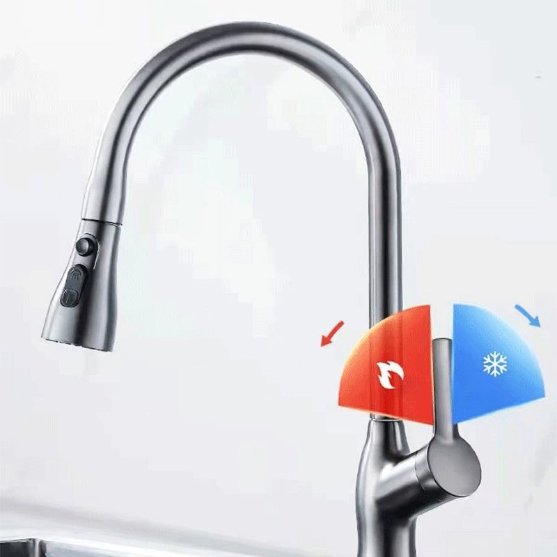 1-Hole 1-Handle Faucet Pull out Sprayer Standard Kitchen Faucet Clearhalo 'Home Improvement' 'home_improvement' 'home_improvement_kitchen_faucets' 'Kitchen Faucets' 'Kitchen Remodel & Kitchen Fixtures' 'Kitchen Sinks & Faucet Components' 'kitchen_faucets' 1200x1200_ee48726d-4143-48df-b9e7-eaab1058586c