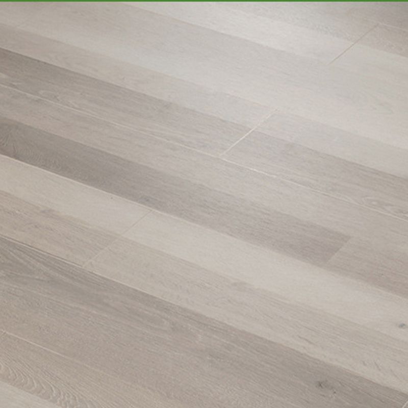 Pine Wood Laminate Rectangular Click Lock Scratch Resistant Indoor Modern Laminate Floor Clearhalo 'Flooring 'Home Improvement' 'home_improvement' 'home_improvement_laminate_flooring' 'Laminate Flooring' 'laminate_flooring' Walls and Ceiling' 1200x1200_ee506a8d-6179-442e-8760-6423ca0a95d9