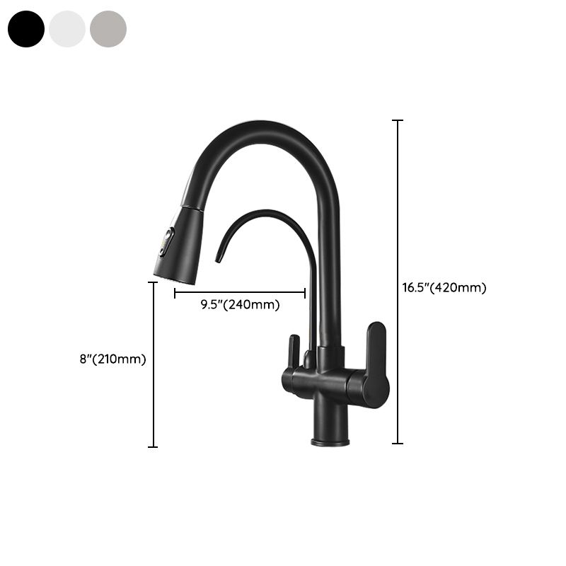 Contemporary Two Handles Kitchen Faucet Double Faucet 1-Hold Faucet Clearhalo 'Home Improvement' 'home_improvement' 'home_improvement_kitchen_faucets' 'Kitchen Faucets' 'Kitchen Remodel & Kitchen Fixtures' 'Kitchen Sinks & Faucet Components' 'kitchen_faucets' 1200x1200_ee821902-8f96-48f4-a097-4892c848581a