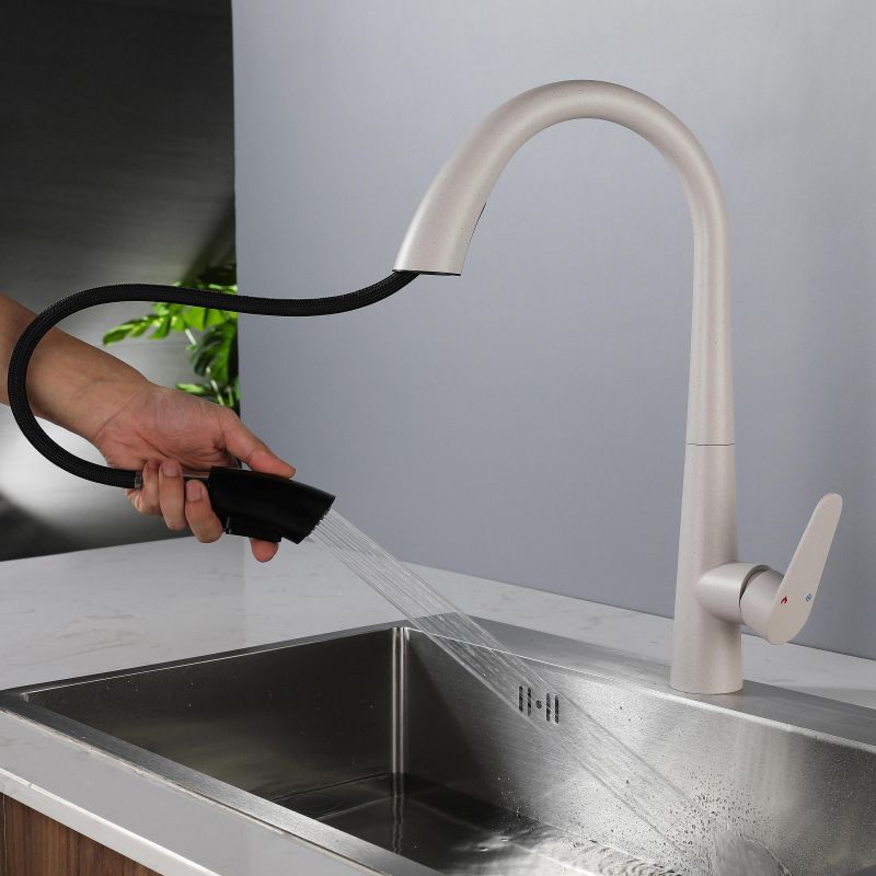 Modern Style Retractable Kitchen Faucet 304 Stainless Steel 1-Handle Kitchen Faucet Clearhalo 'Home Improvement' 'home_improvement' 'home_improvement_kitchen_faucets' 'Kitchen Faucets' 'Kitchen Remodel & Kitchen Fixtures' 'Kitchen Sinks & Faucet Components' 'kitchen_faucets' 1200x1200_eea911db-40bb-4e38-bf1d-da92e7ef608e