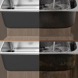 Modern Style Sink Stainless Steel Drop-In Noise-cancelling Design Sink for Kitchen Clearhalo 'Home Improvement' 'home_improvement' 'home_improvement_kitchen_sinks' 'Kitchen Remodel & Kitchen Fixtures' 'Kitchen Sinks & Faucet Components' 'Kitchen Sinks' 'kitchen_sinks' 1200x1200_eeee4a2e-8596-40da-9f78-a43a23863cbb