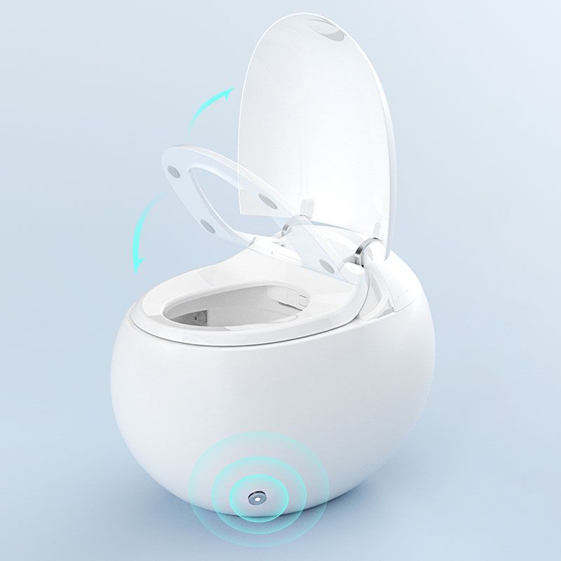 White Egg Shaped Electronic Elongated Toilet Floor Standing Bidet Clearhalo 'Bathroom Remodel & Bathroom Fixtures' 'Bidets' 'Home Improvement' 'home_improvement' 'home_improvement_bidets' 'Toilets & Bidets' 1200x1200_ef321d00-0972-452e-bebe-21f9fbe7deb2