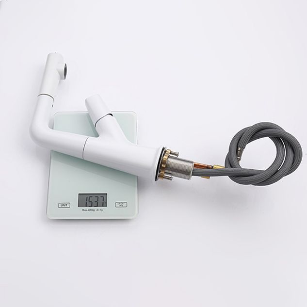 Modern Style Kitchen Faucet Copper Knob Handle Pull Down Kitchen Faucet Clearhalo 'Home Improvement' 'home_improvement' 'home_improvement_kitchen_faucets' 'Kitchen Faucets' 'Kitchen Remodel & Kitchen Fixtures' 'Kitchen Sinks & Faucet Components' 'kitchen_faucets' 1200x1200_efb9695e-964e-46c4-80e9-66e86cda9a33