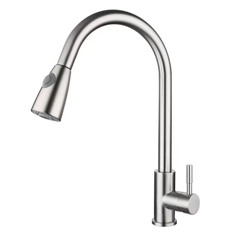 Modern 1-Handle Faucet 304 Stainless Steel with Water Dispenser Pull down Faucet Clearhalo 'Home Improvement' 'home_improvement' 'home_improvement_kitchen_faucets' 'Kitchen Faucets' 'Kitchen Remodel & Kitchen Fixtures' 'Kitchen Sinks & Faucet Components' 'kitchen_faucets' 1200x1200_f0077107-aab3-4aa0-9159-da96fbcc288c