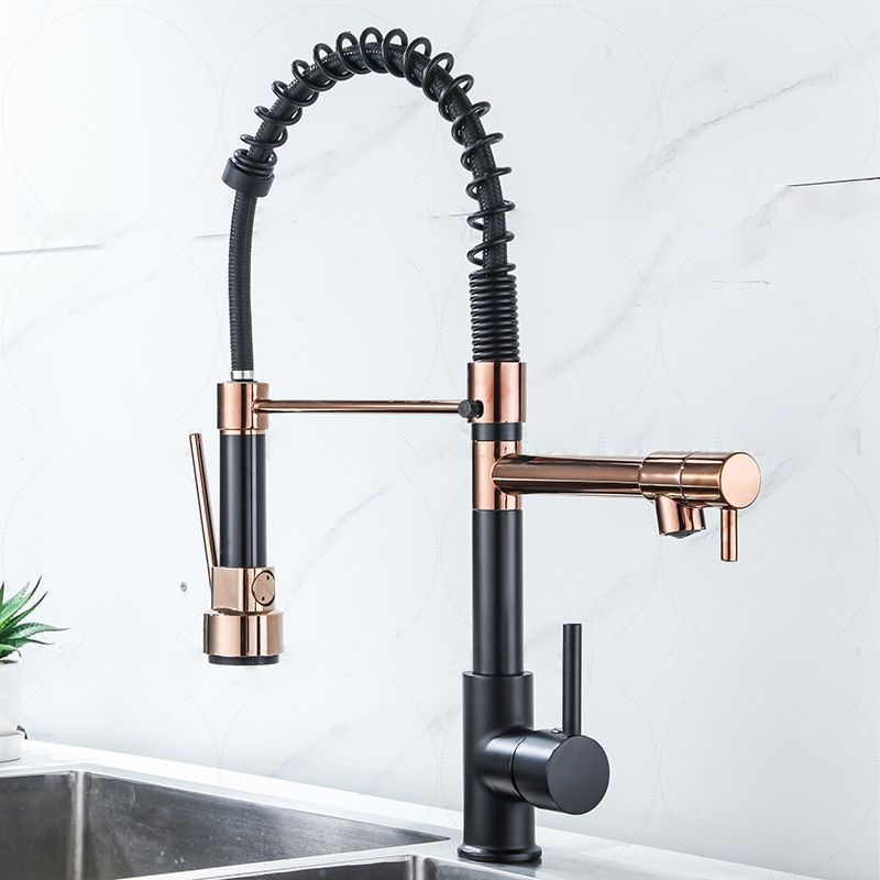Modern Farmhouse Faucet Spring Spout Double Handles Kitchen Faucet High Arch Water Filler Clearhalo 'Home Improvement' 'home_improvement' 'home_improvement_kitchen_faucets' 'Kitchen Faucets' 'Kitchen Remodel & Kitchen Fixtures' 'Kitchen Sinks & Faucet Components' 'kitchen_faucets' 1200x1200_f00e65b1-0628-4a2f-9563-9f67be3c0a10