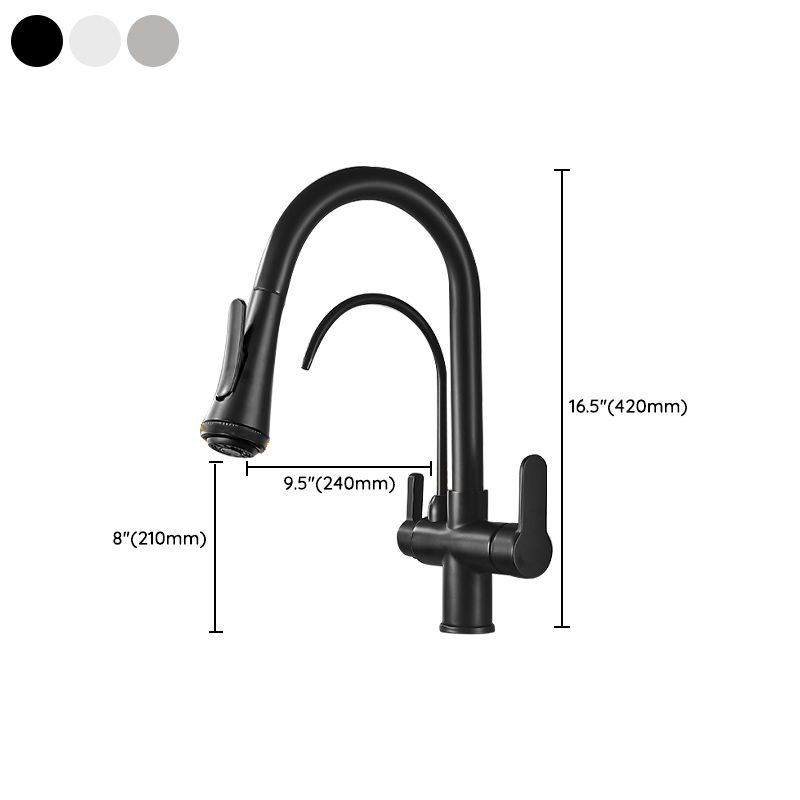 Contemporary Two Handles Kitchen Faucet Double Faucet 1-Hold Faucet Clearhalo 'Home Improvement' 'home_improvement' 'home_improvement_kitchen_faucets' 'Kitchen Faucets' 'Kitchen Remodel & Kitchen Fixtures' 'Kitchen Sinks & Faucet Components' 'kitchen_faucets' 1200x1200_f1bf79ba-6fbd-4496-81a8-9a5fdaea1338