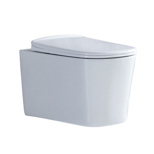 Contemporary All-In-One Flush Toilet Wall Mount Porcelain Toilet Clearhalo 'Bathroom Remodel & Bathroom Fixtures' 'Home Improvement' 'home_improvement' 'home_improvement_toilets' 'Toilets & Bidets' 'Toilets' 1200x1200_f2179d24-78ad-42a8-87e9-5c558ef2d6aa