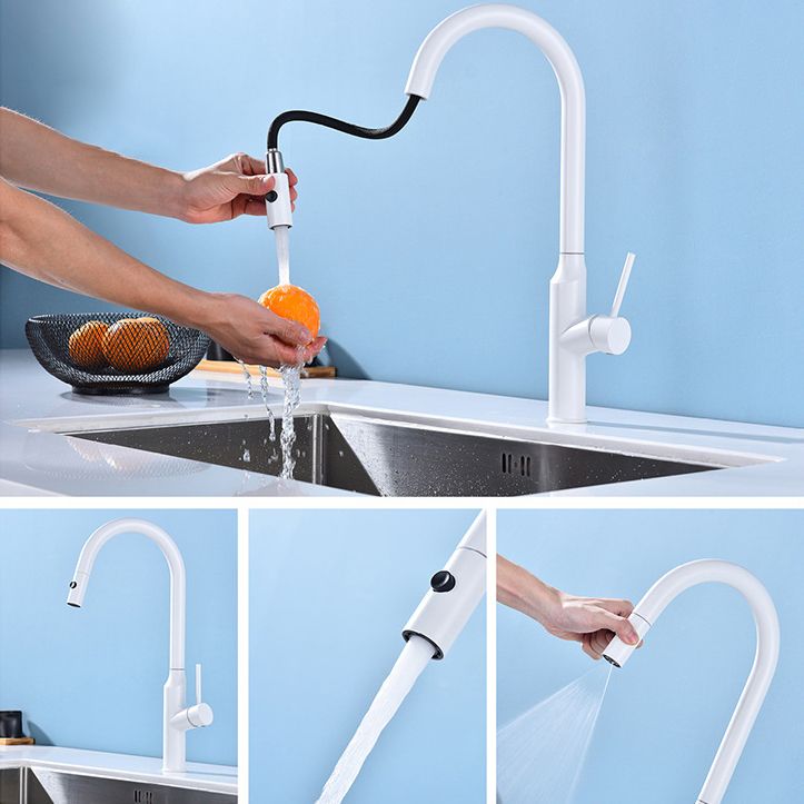 Modern Kitchen Faucet Stainless Steel 1-Handle High Arc Retractable Kitchen Faucet Clearhalo 'Home Improvement' 'home_improvement' 'home_improvement_kitchen_faucets' 'Kitchen Faucets' 'Kitchen Remodel & Kitchen Fixtures' 'Kitchen Sinks & Faucet Components' 'kitchen_faucets' 1200x1200_f21b6741-7287-49d3-adbc-ebbf5cfeb0d7