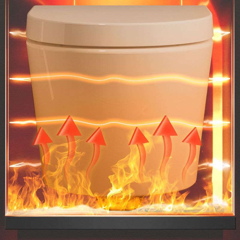 Electronic Elongated Toilet Vitreous China Wall Mounted Bidet Soft Closing Seat Clearhalo 'Bathroom Remodel & Bathroom Fixtures' 'Bidets' 'Home Improvement' 'home_improvement' 'home_improvement_bidets' 'Toilets & Bidets' 1200x1200_f22fa1e2-a505-433c-98df-81b2bb2dc0f1