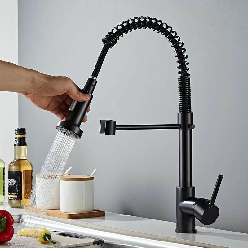 Modern 1-Handle Faucet Spring Spout with Water Dispenser Standard Kitchen Faucet Clearhalo 'Home Improvement' 'home_improvement' 'home_improvement_kitchen_faucets' 'Kitchen Faucets' 'Kitchen Remodel & Kitchen Fixtures' 'Kitchen Sinks & Faucet Components' 'kitchen_faucets' 1200x1200_f2ea5d2c-18dd-4bfa-b9fa-46ab5386bf32