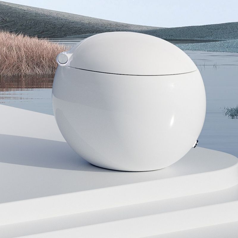 Elongated Floor Mount Bidet Egg Shaped Antimicrobial Smart Bidet Clearhalo 'Bathroom Remodel & Bathroom Fixtures' 'Bidets' 'Home Improvement' 'home_improvement' 'home_improvement_bidets' 'Toilets & Bidets' 1200x1200_f3222323-ea55-4a60-a3d3-03599f356c2b