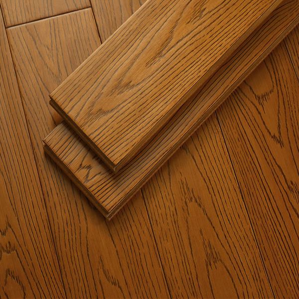 Modern Laminate Flooring in Natural, Click-Lock, Waterproof, 12mm Clearhalo 'Flooring 'Home Improvement' 'home_improvement' 'home_improvement_laminate_flooring' 'Laminate Flooring' 'laminate_flooring' Walls and Ceiling' 1200x1200_f3520f8b-c094-44a6-a50c-58149ef085d0