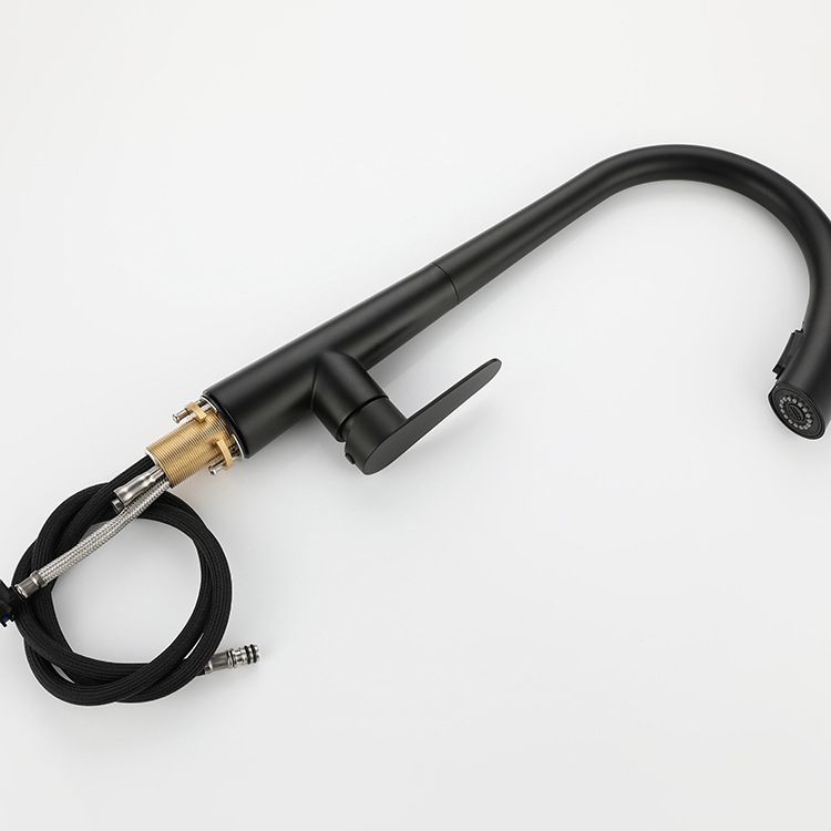 Modern Retractable Kitchen Faucet Stainless Steel Single Handle High Arc Kitchen Faucet Clearhalo 'Home Improvement' 'home_improvement' 'home_improvement_kitchen_faucets' 'Kitchen Faucets' 'Kitchen Remodel & Kitchen Fixtures' 'Kitchen Sinks & Faucet Components' 'kitchen_faucets' 1200x1200_f389194e-0e21-4f88-9e7a-51c05d6f6fa1