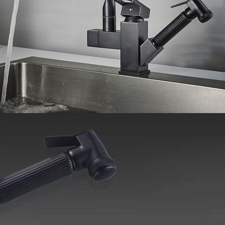 Modern 1-Handle Faucet with Water Dispenser with Pull out Sprayer Faucet Clearhalo 'Home Improvement' 'home_improvement' 'home_improvement_kitchen_faucets' 'Kitchen Faucets' 'Kitchen Remodel & Kitchen Fixtures' 'Kitchen Sinks & Faucet Components' 'kitchen_faucets' 1200x1200_f411f5a4-e399-457e-9d16-475c56269b38
