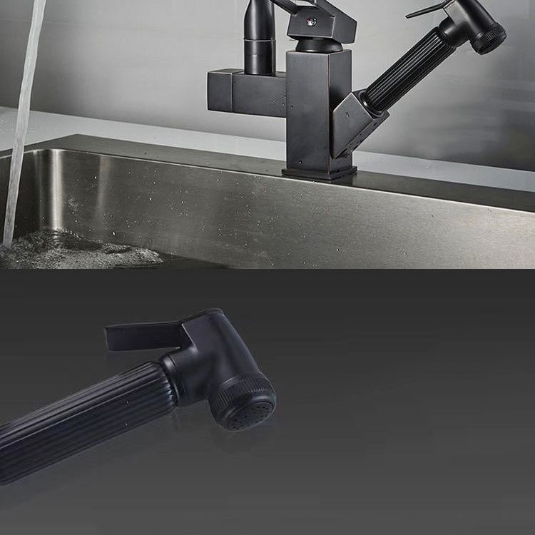 Modern 1-Handle Faucet with Water Dispenser with Pull out Sprayer Faucet Clearhalo 'Home Improvement' 'home_improvement' 'home_improvement_kitchen_faucets' 'Kitchen Faucets' 'Kitchen Remodel & Kitchen Fixtures' 'Kitchen Sinks & Faucet Components' 'kitchen_faucets' 1200x1200_f411f5a4-e399-457e-9d16-475c56269b38
