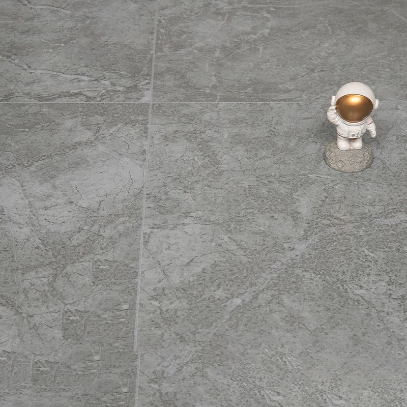 Indoor Flooring Peel and Stick Coiled PVC 200cm Waterproof Vinyl Floor Clearhalo 'Flooring 'Home Improvement' 'home_improvement' 'home_improvement_vinyl_flooring' 'Vinyl Flooring' 'vinyl_flooring' Walls and Ceiling' 1200x1200_f4185b51-96d1-42f9-bd43-a5fffc23d66d