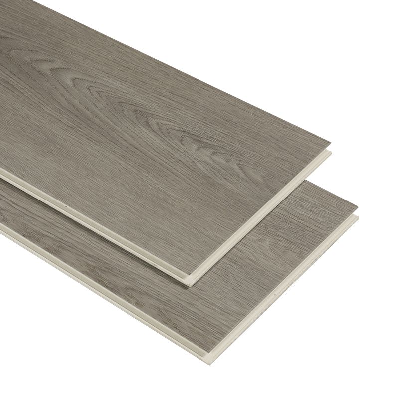 Indoor Laminate Floor Wooden Waterproof Scratch Resistant Laminate Floor Clearhalo 'Flooring 'Home Improvement' 'home_improvement' 'home_improvement_laminate_flooring' 'Laminate Flooring' 'laminate_flooring' Walls and Ceiling' 1200x1200_f42e52bd-6574-47e7-848e-84e1d9fc3ba8