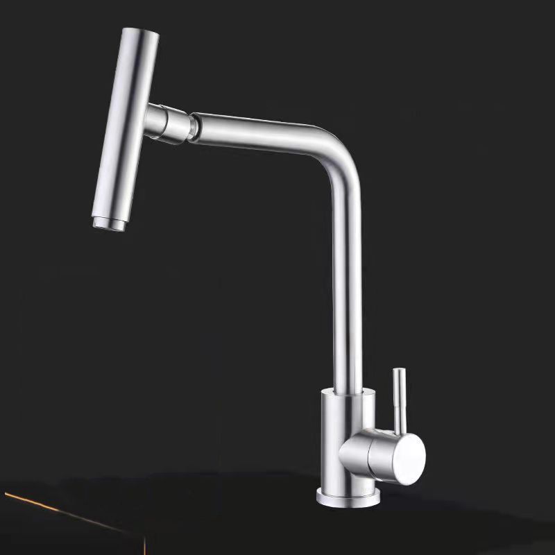 1-Handle Faucets with Water Dispenser Stainless Steel Standard Kitchen Faucets Clearhalo 'Home Improvement' 'home_improvement' 'home_improvement_kitchen_faucets' 'Kitchen Faucets' 'Kitchen Remodel & Kitchen Fixtures' 'Kitchen Sinks & Faucet Components' 'kitchen_faucets' 1200x1200_f458226d-22a8-4952-be9e-08f385833a88