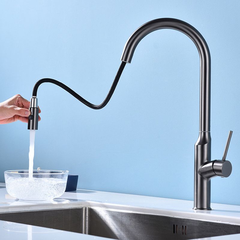 Modern 1-Handle Faucets Stainless Steel with Water Dispenser Pull down Faucets Clearhalo 'Home Improvement' 'home_improvement' 'home_improvement_kitchen_faucets' 'Kitchen Faucets' 'Kitchen Remodel & Kitchen Fixtures' 'Kitchen Sinks & Faucet Components' 'kitchen_faucets' 1200x1200_f48ff441-be60-4cab-a6c1-a7d2a46d85e1