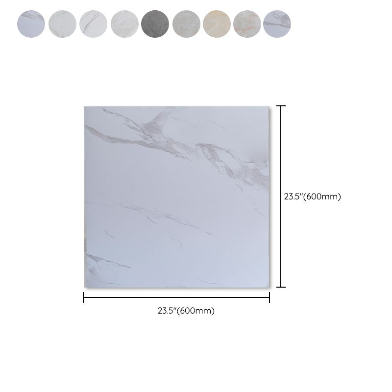 Modern Vinyl Floor Tiles Peel & Stick Marble Printed PVC Flooring Clearhalo 'Flooring 'Home Improvement' 'home_improvement' 'home_improvement_vinyl_flooring' 'Vinyl Flooring' 'vinyl_flooring' Walls and Ceiling' 1200x1200_f4e03020-27e6-47e9-a29a-66e97b840e0d
