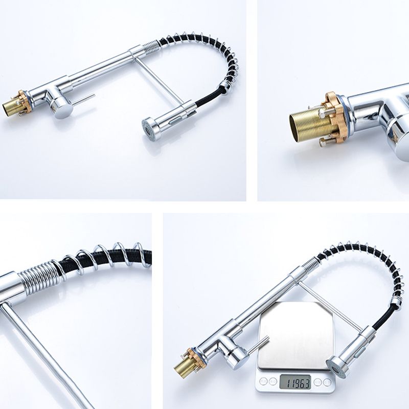 Modern Spring Spout Faucets 1-Handle with Water Dispenser Standard Kitchen Faucets Clearhalo 'Home Improvement' 'home_improvement' 'home_improvement_kitchen_faucets' 'Kitchen Faucets' 'Kitchen Remodel & Kitchen Fixtures' 'Kitchen Sinks & Faucet Components' 'kitchen_faucets' 1200x1200_f5248655-9edc-499a-8ccc-8aecef0a6c87