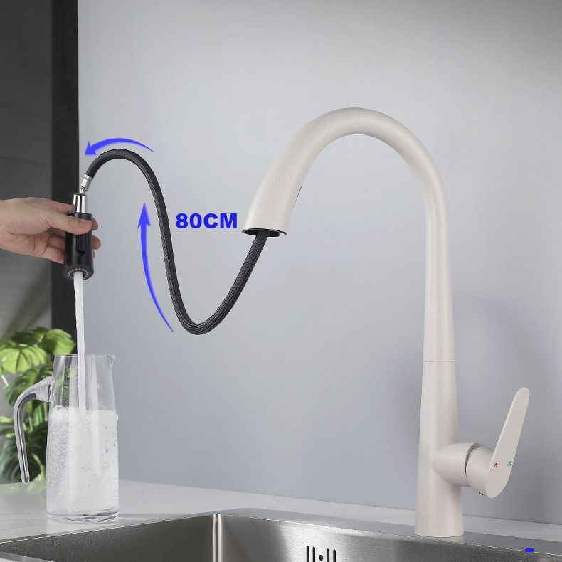 Modern Style Retractable Kitchen Faucet 304 Stainless Steel 1-Handle Kitchen Faucet Clearhalo 'Home Improvement' 'home_improvement' 'home_improvement_kitchen_faucets' 'Kitchen Faucets' 'Kitchen Remodel & Kitchen Fixtures' 'Kitchen Sinks & Faucet Components' 'kitchen_faucets' 1200x1200_f7721df1-947d-40af-88ff-51686860c45a