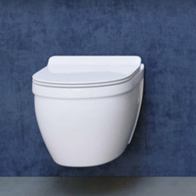 Contemporary Wall Hung Flush Toilet Ceramic Urine Toilet with Seat for Bathroom Clearhalo 'Bathroom Remodel & Bathroom Fixtures' 'Home Improvement' 'home_improvement' 'home_improvement_toilets' 'Toilets & Bidets' 'Toilets' 1200x1200_f779dd36-51f2-4c12-a5be-44728f1f8b48