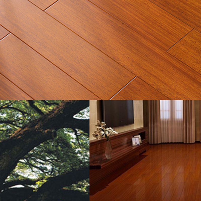 Traditional Wood Floor Planks Wire Brushed Water Resistant Floor Bullnose Clearhalo 'Flooring 'Hardwood Flooring' 'hardwood_flooring' 'Home Improvement' 'home_improvement' 'home_improvement_hardwood_flooring' Walls and Ceiling' 1200x1200_f7fafb2e-297b-4273-a1ba-1931553b9422