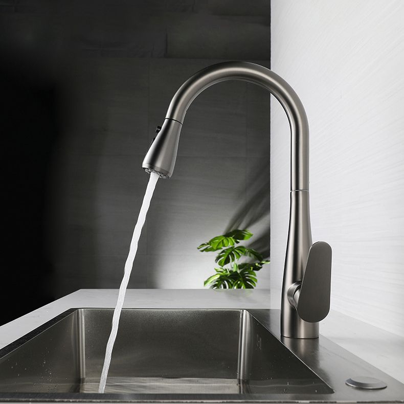Modern Style Retractable Kitchen Faucet Stainless Steel Single Handle Kitchen Faucet Clearhalo 'Home Improvement' 'home_improvement' 'home_improvement_kitchen_faucets' 'Kitchen Faucets' 'Kitchen Remodel & Kitchen Fixtures' 'Kitchen Sinks & Faucet Components' 'kitchen_faucets' 1200x1200_f82c1738-dc25-4810-8201-42774f5ba40b