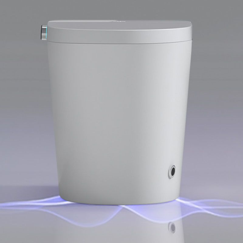 Contemporary Electronic Toilet Seat Elongated Floor Standing Bidet Clearhalo 'Bathroom Remodel & Bathroom Fixtures' 'Bidets' 'Home Improvement' 'home_improvement' 'home_improvement_bidets' 'Toilets & Bidets' 1200x1200_f87f177f-8228-4b31-8fed-c879bec32794