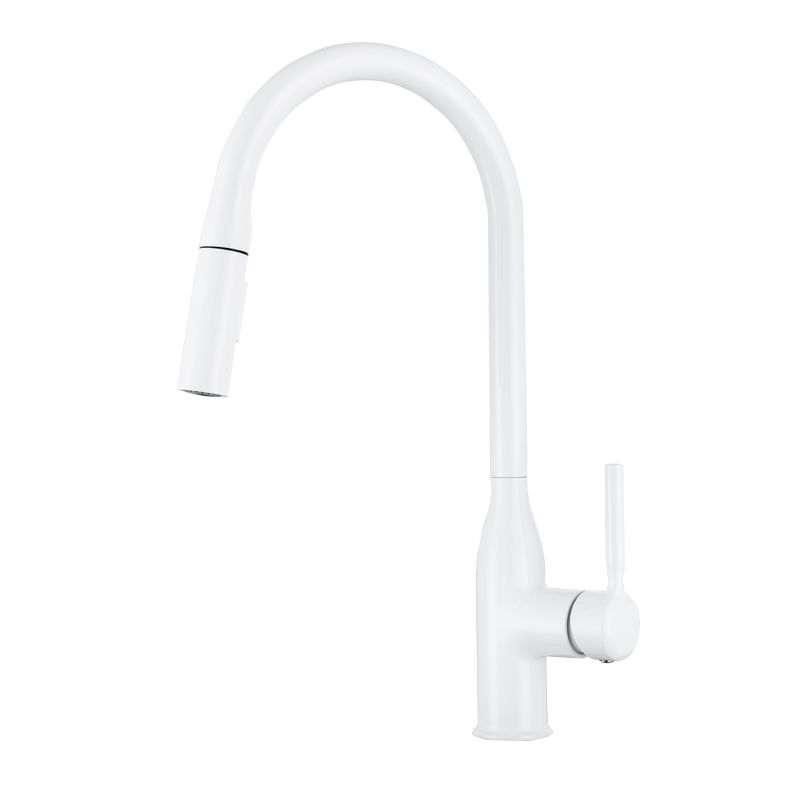 Modern Standard Kitchen Faucet Gooseneck Kitchen Faucet with One Handle Clearhalo 'Home Improvement' 'home_improvement' 'home_improvement_kitchen_faucets' 'Kitchen Faucets' 'Kitchen Remodel & Kitchen Fixtures' 'Kitchen Sinks & Faucet Components' 'kitchen_faucets' 1200x1200_f9380304-dbfc-4c2d-b277-267275972e71