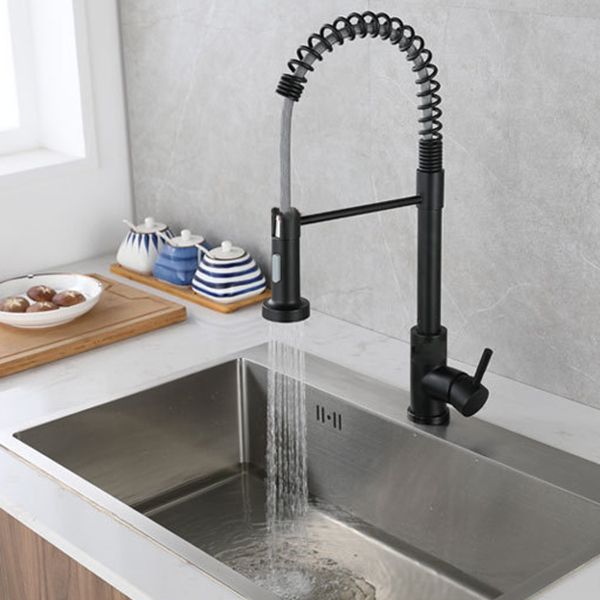 Modern Farmhouse Spring Spout One Handle Kitchen Faucet High Arch Water Filler Clearhalo 'Home Improvement' 'home_improvement' 'home_improvement_kitchen_faucets' 'Kitchen Faucets' 'Kitchen Remodel & Kitchen Fixtures' 'Kitchen Sinks & Faucet Components' 'kitchen_faucets' 1200x1200_fac0c384-931a-463c-bcd7-39c304d3d7e0