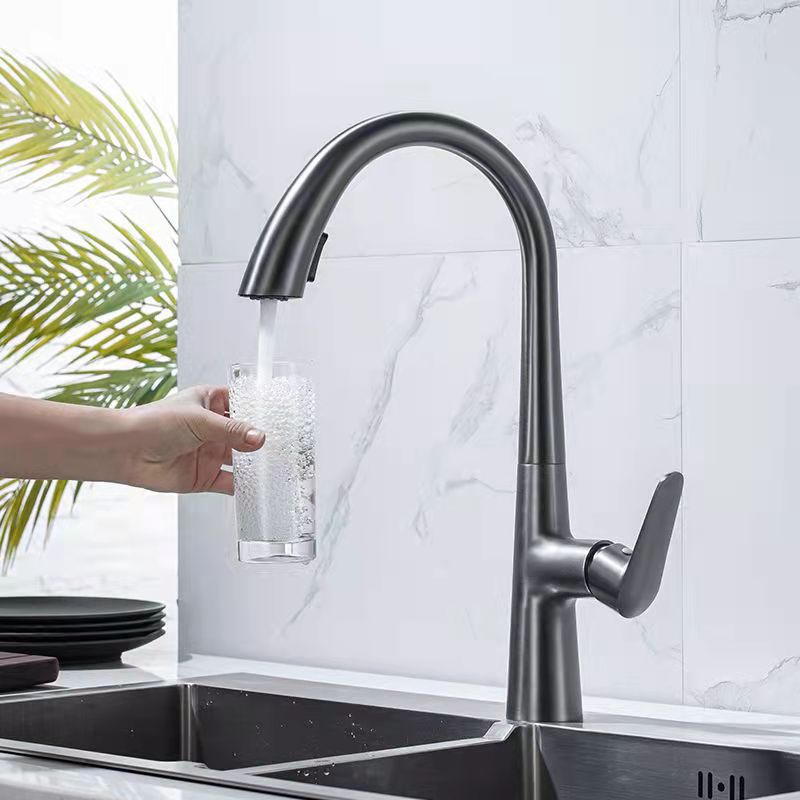 Modern 1-Handle Faucet Pull down Stainless Steel Standard Kitchen Faucet Clearhalo 'Home Improvement' 'home_improvement' 'home_improvement_kitchen_faucets' 'Kitchen Faucets' 'Kitchen Remodel & Kitchen Fixtures' 'Kitchen Sinks & Faucet Components' 'kitchen_faucets' 1200x1200_fac24112-04fa-4de0-8874-5e0093143b83