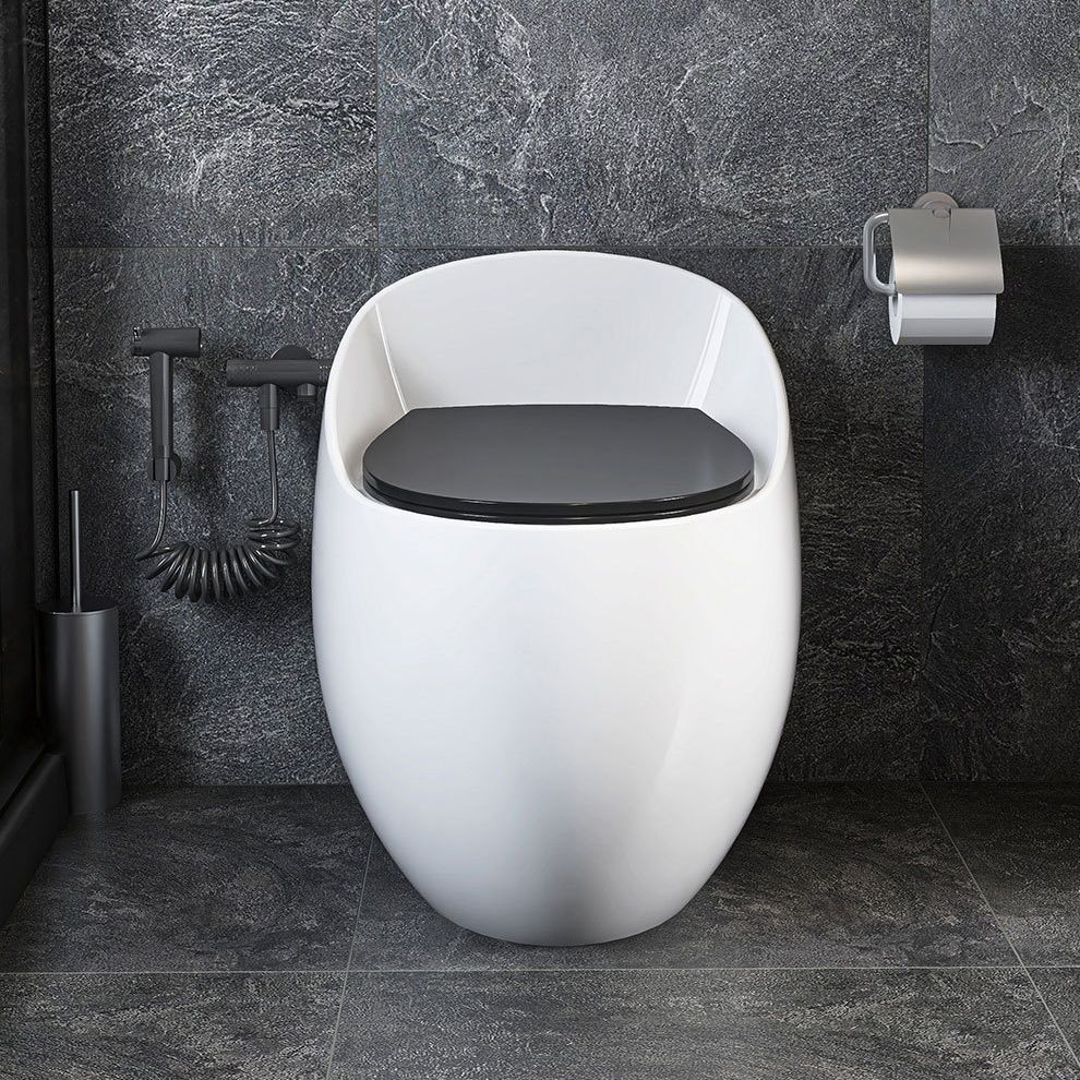 Modern Floor Mount Toilet Siphon Ceramic Flush Toilet with Seat for Bathroom Clearhalo 'Bathroom Remodel & Bathroom Fixtures' 'Home Improvement' 'home_improvement' 'home_improvement_toilets' 'Toilets & Bidets' 'Toilets' 1200x1200_fb15e544-120a-4ed7-91b6-223cf8cccf3e