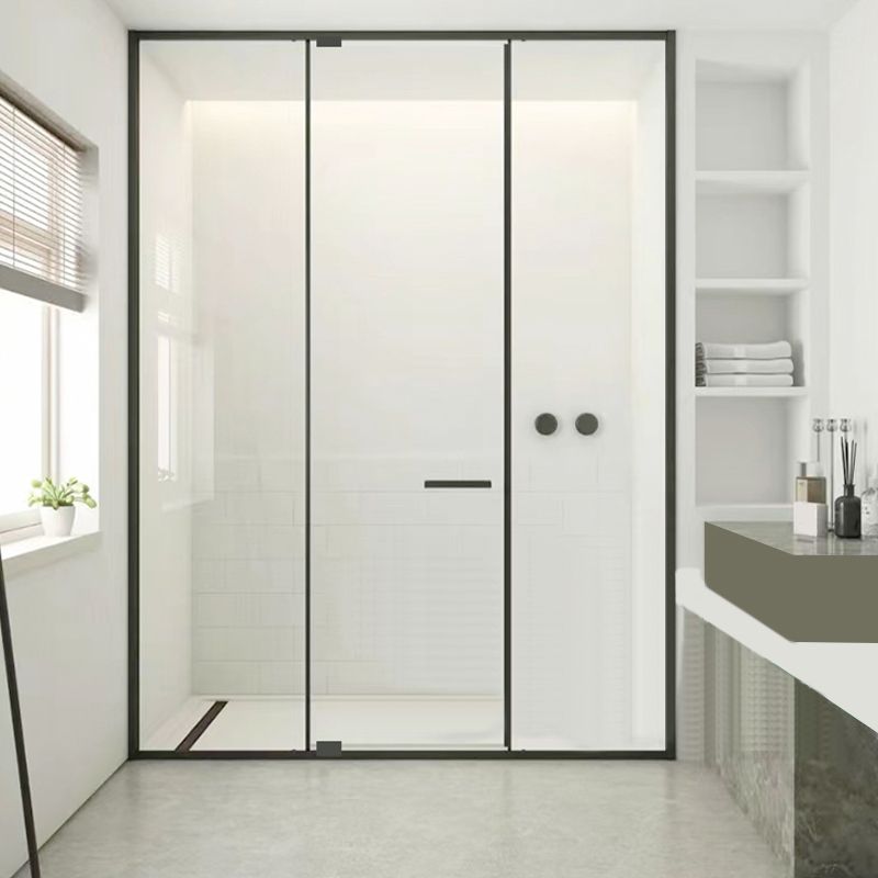 Full Narrow Frame Pivot Shower Door Tempered Glass Shower Door Clearhalo 'Bathroom Remodel & Bathroom Fixtures' 'Home Improvement' 'home_improvement' 'home_improvement_shower_tub_doors' 'Shower and Tub Doors' 'shower_tub_doors' 'Showers & Bathtubs' 1200x1200_fb4d3f24-446c-4e51-aafc-8b9c38c5738f