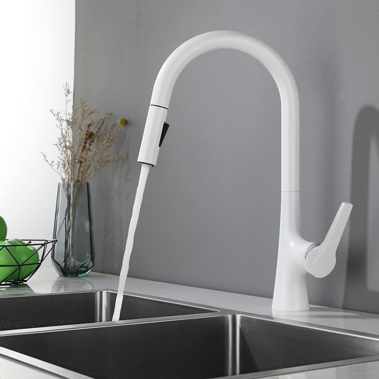 Contemporary Single Handle Kitchen Faucet Water Filler with Pull out Sprayer Clearhalo 'Home Improvement' 'home_improvement' 'home_improvement_kitchen_faucets' 'Kitchen Faucets' 'Kitchen Remodel & Kitchen Fixtures' 'Kitchen Sinks & Faucet Components' 'kitchen_faucets' 1200x1200_fc787318-4be5-4d8e-9f8a-ac4172a18a91