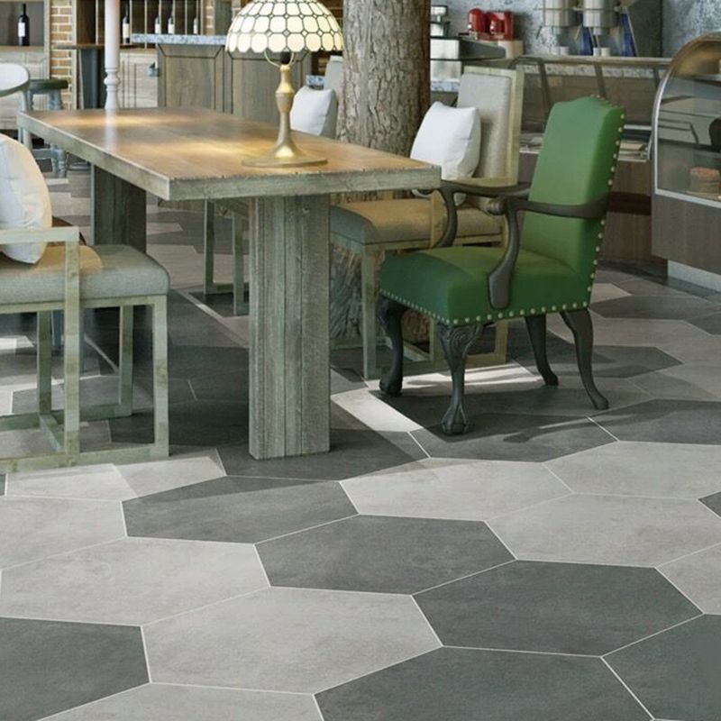 Modern Style Indoor Tile Hexagon Living Room Floor and Wall Tile Clearhalo 'Floor Tiles & Wall Tiles' 'floor_tiles_wall_tiles' 'Flooring 'Home Improvement' 'home_improvement' 'home_improvement_floor_tiles_wall_tiles' Walls and Ceiling' 1200x1200_fcd18aeb-2cf5-47ad-b710-0b913a869d91