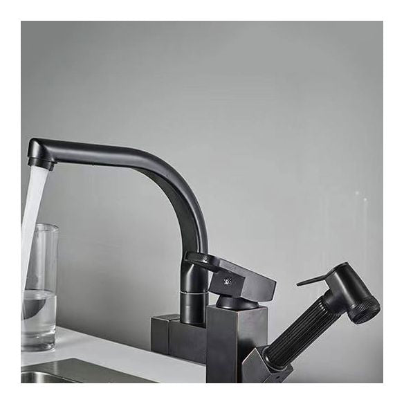 Modern 1-Handle Faucet with Water Dispenser with Pull out Sprayer Faucet Clearhalo 'Home Improvement' 'home_improvement' 'home_improvement_kitchen_faucets' 'Kitchen Faucets' 'Kitchen Remodel & Kitchen Fixtures' 'Kitchen Sinks & Faucet Components' 'kitchen_faucets' 1200x1200_fd3d3433-955e-4d20-9569-4fd42fc8190b