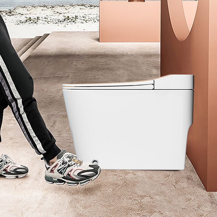 Modern Siphon Jet Toilet Concealed Tank Flush Toilet with Toilet Seat Clearhalo 'Bathroom Remodel & Bathroom Fixtures' 'Home Improvement' 'home_improvement' 'home_improvement_toilets' 'Toilets & Bidets' 'Toilets' 1200x1200_fdeaf474-74f3-495e-8bdb-7b60136579c2