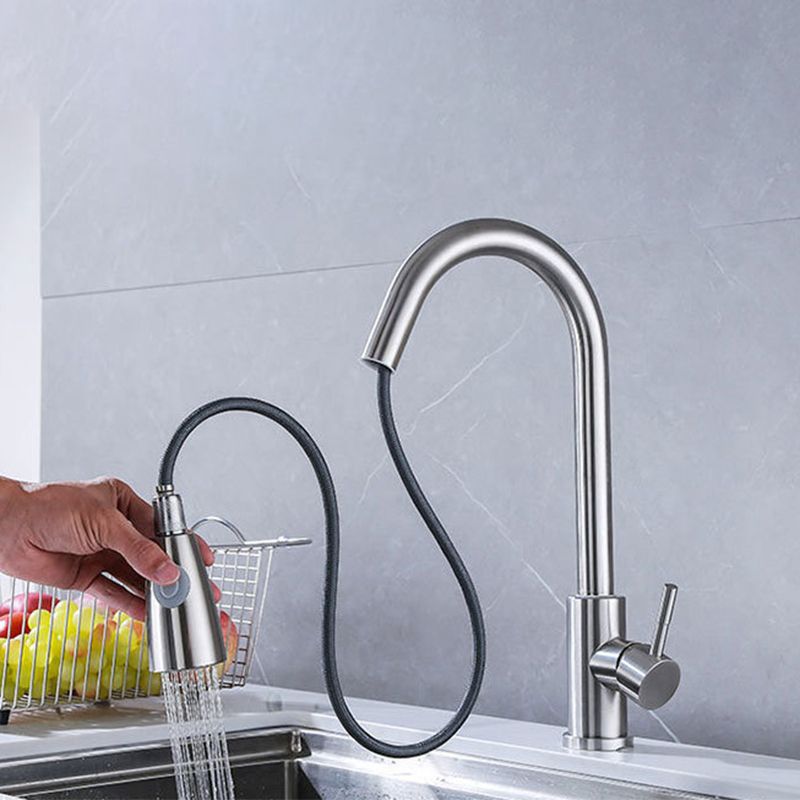 Modern 1-Handle Faucet Stainless Steel Pull down Standard Kitchen Faucet Clearhalo 'Home Improvement' 'home_improvement' 'home_improvement_kitchen_faucets' 'Kitchen Faucets' 'Kitchen Remodel & Kitchen Fixtures' 'Kitchen Sinks & Faucet Components' 'kitchen_faucets' 1200x1200_fe0f2a7e-2abe-42f9-9fd3-9cf6056e5751