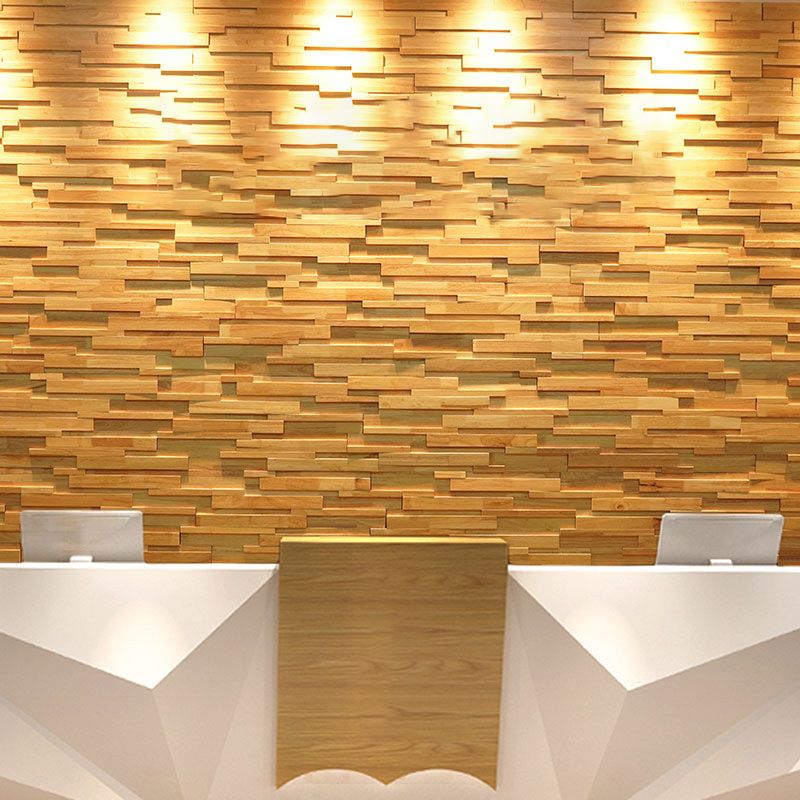 Solid Wood Wall Plate Modern Minimalist Home Living Room Wall Panel (1-pack) Clearhalo 'Flooring 'Home Improvement' 'home_improvement' 'home_improvement_wall_paneling' 'Wall Paneling' 'wall_paneling' 'Walls & Ceilings' Walls and Ceiling' 1200x1200_fe494e36-5646-40a1-8aac-96ae158259c7