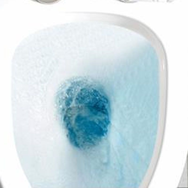 Traditional Ceramic Toilet Bowl Siphon Jet Urine Toilet for Bathroom Clearhalo 'Bathroom Remodel & Bathroom Fixtures' 'Home Improvement' 'home_improvement' 'home_improvement_toilets' 'Toilets & Bidets' 'Toilets' 1200x1200_fe998c38-a2f9-46cb-a88d-a7143f821577