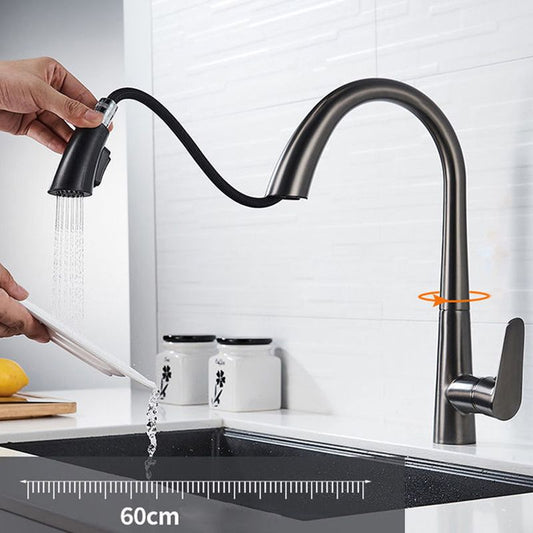 Modern 1-Handle Faucet Pull down Stainless Steel Standard Kitchen Faucet Clearhalo 'Home Improvement' 'home_improvement' 'home_improvement_kitchen_faucets' 'Kitchen Faucets' 'Kitchen Remodel & Kitchen Fixtures' 'Kitchen Sinks & Faucet Components' 'kitchen_faucets' 1200x1200_fec4343e-14f8-48c1-abe8-f1c37e1e102f