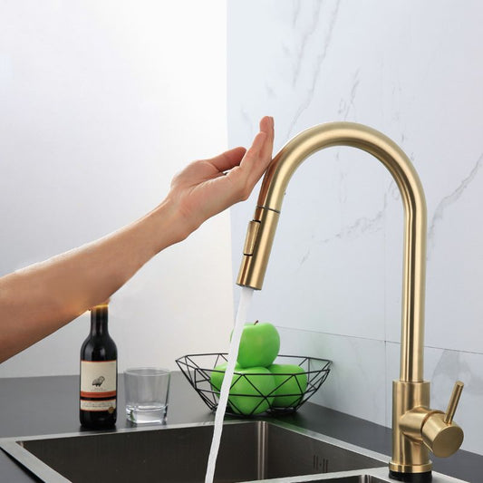 Modern Farmhouse Pull Down Water Filler One Handle High Arch Kitchen Faucet Clearhalo 'Home Improvement' 'home_improvement' 'home_improvement_kitchen_faucets' 'Kitchen Faucets' 'Kitchen Remodel & Kitchen Fixtures' 'Kitchen Sinks & Faucet Components' 'kitchen_faucets' 1200x1200_ffe78768-5740-472d-acbc-e8316b0bf9a2