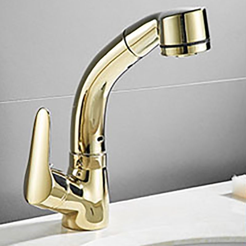Vessel Sink Bathroom Faucet Swivel Spout Single Handle Faucet with Pull down Sprayer Clearhalo 'Bathroom Remodel & Bathroom Fixtures' 'Bathroom Sink Faucets' 'Bathroom Sinks & Faucet Components' 'bathroom_sink_faucets' 'Home Improvement' 'home_improvement' 'home_improvement_bathroom_sink_faucets' 1200x1200_fffb6dda-5c96-4a51-8e0b-e0f374dc19a0