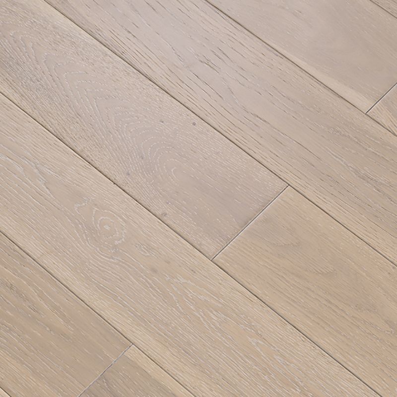 Traditional Flooring Tiles Solid Wood Water Resistant Click-Locking Plank Flooring Clearhalo 'Flooring 'Hardwood Flooring' 'hardwood_flooring' 'Home Improvement' 'home_improvement' 'home_improvement_hardwood_flooring' Walls and Ceiling' 1200x1200_ffff37e5-d77e-4227-a355-9d12b080bc8b